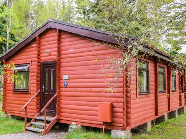 A red wooden cabin with a dark door and windows surrounded by trees at Otter Lodge in Strathpeffer