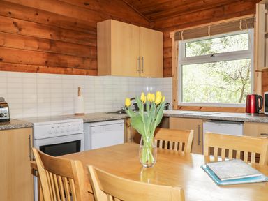 A kitchen with wooden cabinets a white oven a dishwasher a window yellow tulips on a wooden table and chairs at Otter Lodge in Strathpeffer