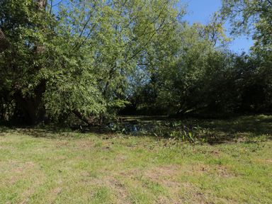 A grassy area with bushes and trees surrounding a small pond under a clear blue sky at Granary 1 Madley near Hereford