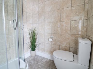 A bathroom with a toilet a shower enclosure and a potted plant at Preswylfa in Penmachno