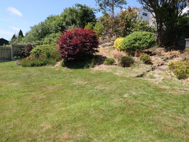 A garden with grass and various bushes including a prominent red shrub at Cae Glas in Pwllheli