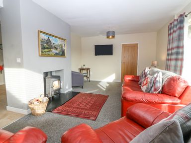 A living room with red leather sofas a fireplace a wall-mounted television and a red patterned rug at Cae Glas in Pwllheli