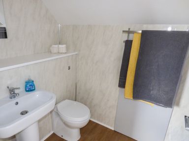 A bathroom with a sink with liquid soap a toilet and towels on a rack at Oakdene in Neyland