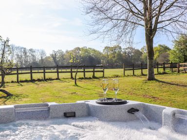 An outdoor hot tub with two glasses of champagne on the edge overlooking a grassy fenced field with trees at Pheasant Lodge in Wimborne Minster