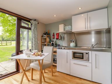 A small kitchen with white cabinets a microwave a kettle a table with tea and scones and a large window overlooking a green field at Pheasant Lodge in Wimborne Minster