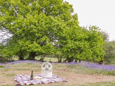 A picnic setup with a blanket wine bottle and basket near trees and flowers at Pheasant Lodge in Wimborne Minster