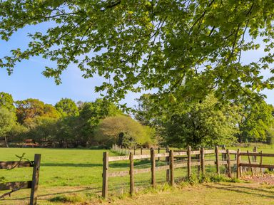 A wooden fence around a grass field with trees in the background at Pheasant Lodge in Wimborne Minster
