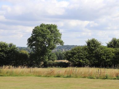 A grassy field with tall grass and trees under a partly cloudy sky at Pheasant Lodge in Wimborne Minster