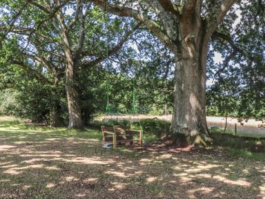 A wooden swing hanging from a tree in an outdoor grassy area at Pheasant Lodge in Wimborne Minster