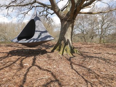 A hanging gray tent chair attached to a large tree in a wooded area at Pheasant Lodge in Wimborne Minster