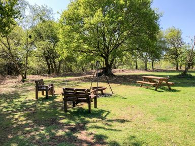 An outdoor area with wooden benches a picnic table and a fire pit surrounded by trees at Pheasant Lodge in Wimborne Minster