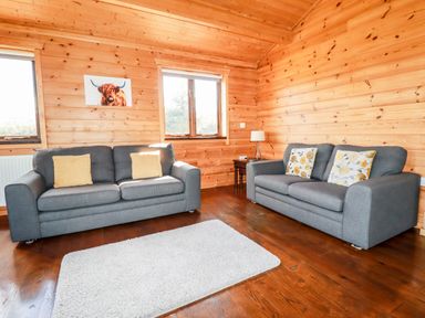A living room with two gray sofas with cushions a small wooden side table with a lamp two windows wooden walls and a white rug on a wooden floor at Willow Lodge in Lanivet near Bodmin