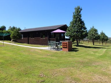 An outdoor patio with table chairs and umbrella next to a wooden cabin and trees at Willow Lodge in Lanivet near Bodmin
