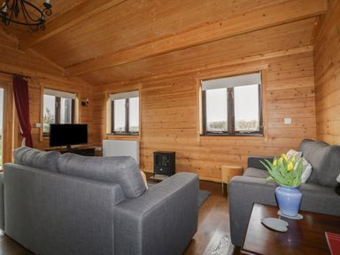 A living room with grey sofas a vase with yellow flowers a television and wooden walls at Holly Lodge Lanivet near Bodmin
