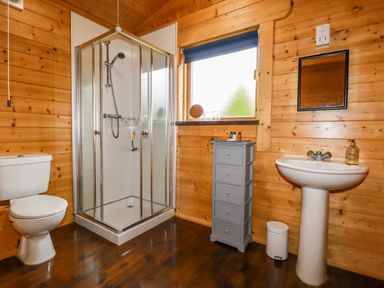 A bathroom with a toilet shower sink mirror and storage cabinet at Cherry Lodge in Lanivet near Bodmin