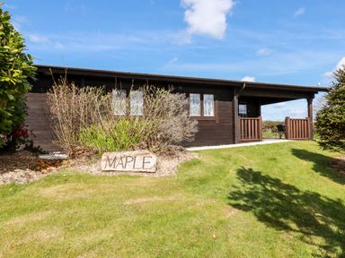 A wooden lodge with windows and a porch on a grassy lawn with a stone marked maple at Maple Lodge Lanivet near Bodmin