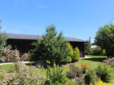 A garden with various plants and a building in the background at Cedar Lodge Lanivet near Bodmin