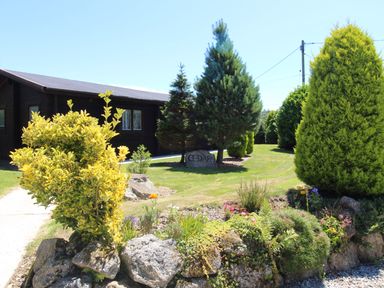 A garden with various shrubs and small trees next to a wooden building at Cedar Lodge in Lanivet near Bodmin