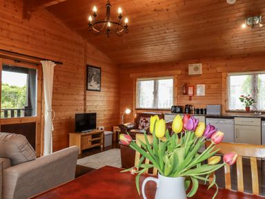 A wooden living room with a dining table with flowers a TV sofa and a kitchen area at Cedar Lodge in Lanivet near Bodmin
