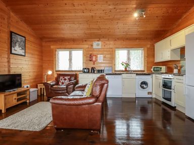 A living room with brown leather sofas a TV on a wooden stand and a kitchen with white cabinets at Cedar Lodge in Lanivet near Bodmin