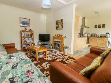 A living room with a sofa bookshelf TV and an open kitchen at Richmond Cottage in Burythorpe near Malton