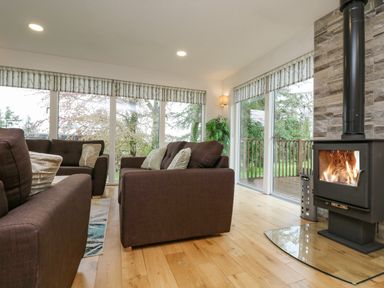A living room with brown sofas a wood burning stove and large windows with a view of trees at Birch in Truro