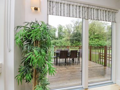 A green plant beside large glass sliding doors leading to a wooden deck with outdoor dining furniture surrounded by trees at Birch in Truro