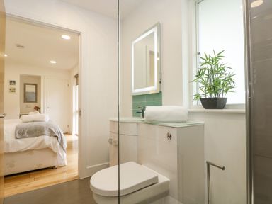 A bathroom with a toilet sink mirror plant towel and a view into a bedroom at Birch in Truro