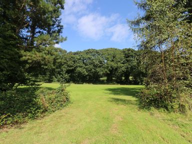 A grassy field with trees and bushes on the sides under a partly cloudy sky at Birch in Truro
