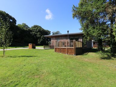 A wooden cabin with a small fenced porch on a grassy area surrounded by trees at Birch in Truro