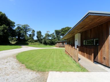 A wooden building with a porch and a grassy area in front surrounded by trees at Birch in Truro