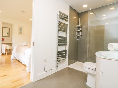 A bathroom with a walk-in shower toilet and radiator next to a bedroom with a bed and a chair at Elm in Truro