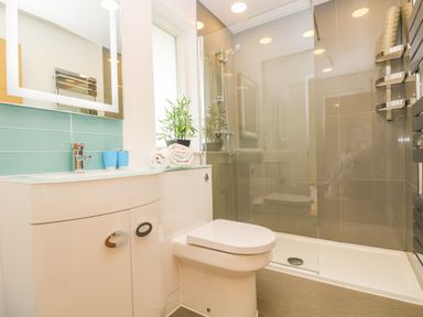 A bathroom with a toilet shower area and sink with blue tiles and a plant on the counter at Elm in Truro
