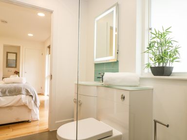 A bathroom with a toilet sink mirror rolled towel and plant on the windowsill at Elm in Truro