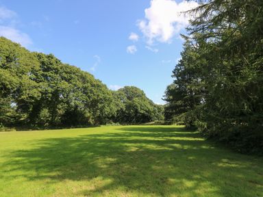 A grassy field bordered by trees under a blue sky at Elm in Truro
