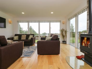 A living room with brown sofas a fireplace a plant and large windows at Hazel in Truro