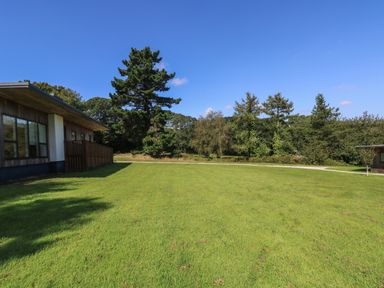 A grassy lawn with trees and a wooden building under a clear blue sky at Hazel in Truro