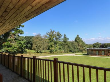 A wooden balcony overlooking a grassy area with trees and a wooden building at Hazel in Truro