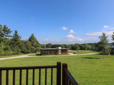 A grassy outdoor area with trees and modern wooden cabins under a clear blue sky at Hazel in Truro