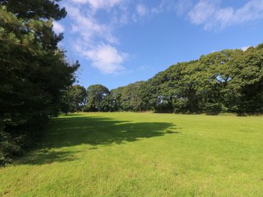A grassy field with trees along the edge under a blue sky at Hazel in Truro