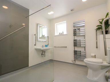 A bathroom with a toilet sink mirror heated towel rail and plants at Juniper in Truro