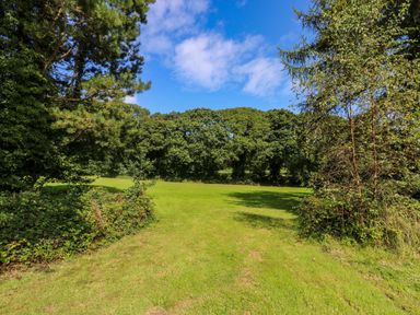 An open grassy field surrounded by trees under a blue sky at Juniper in Truro