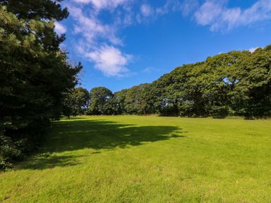 A grassy field with trees in the background under a blue sky at Juniper in Truro