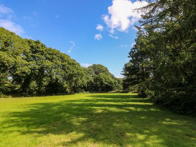 A grassy field with trees on both sides under a blue sky at Juniper in Truro