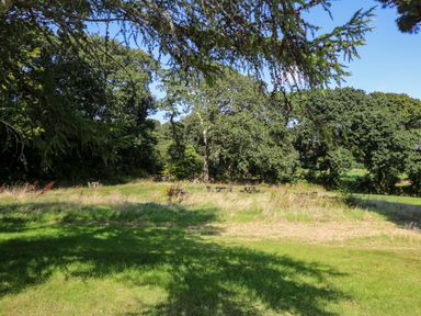 A grassy outdoor area with picnic tables and trees at Juniper in Truro
