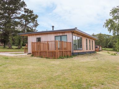 A wooden cabin with fenced porch and large windows surrounded by grass and trees at Oak in Truro