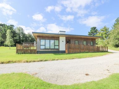 A wooden house with large windows and a fenced ramp on a grassy plot with a gravel driveway at Rowan in Truro