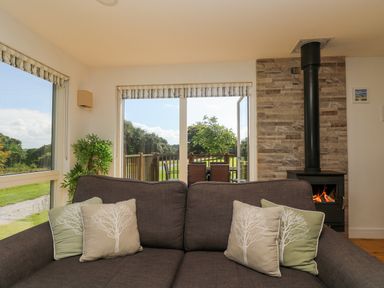 A living room with a dark sofa and tree patterned cushions a wood stove and sliding glass doors leading to a deck at Rowan in Truro