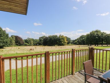 A wooden deck railing overlooking a grassy field with trees and a gravel path at Rowan in Truro