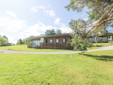 A single story wooden house with a fenced porch on a grassy lawn with trees at Rowan in Truro